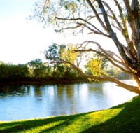 Albury - Murray River Precinct - Accommodation in Bendigo