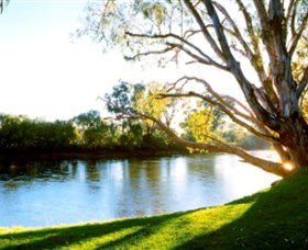 Albury - Murray River Precinct - Accommodation in Bendigo 0