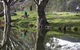 Albury - Murray River Precinct - thumb 3