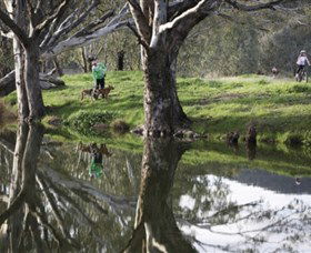 Albury - Murray River Precinct - Accommodation in Bendigo 3
