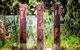 Albury - Murray River Precinct - thumb 4