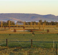 Holbrook Landcare Self-Drive Eco Tour - Accommodation in Bendigo