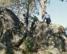 Mount Samaria State Park - Accommodation in Bendigo 0