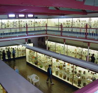 National Museum of Australian Pottery - Accommodation in Bendigo
