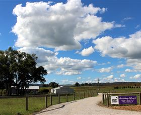 Short Sheep Micro-Winery - Accommodation in Bendigo 8