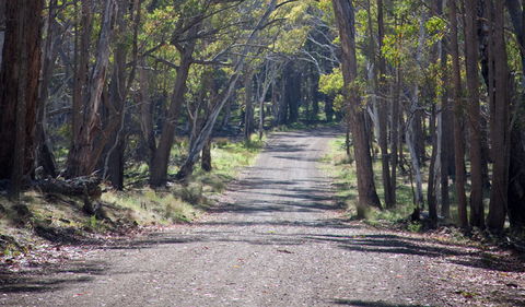 Coolah Tops National Park - Accommodation in Bendigo 1