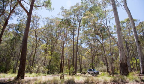 Coolah Tops National Park - Accommodation in Bendigo 0