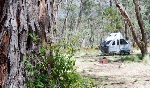 Coolah Tops National Park - Accommodation in Bendigo 2