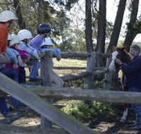 Harlow Park Horse Riding - Accommodation in Bendigo