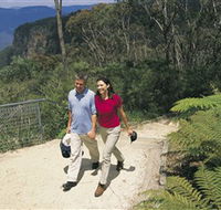 Blue Mountains Walking Tracks - Accommodation in Bendigo