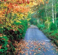 Mount Wilson and Mount Irvine - Accommodation in Bendigo