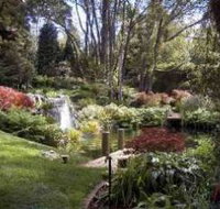 Windyridge Garden Mount Wilson - Accommodation in Bendigo