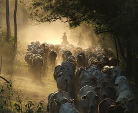 Springvale Horse Treks - Accommodation in Bendigo 0