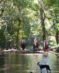 Springvale Horse Treks - Accommodation in Bendigo 2