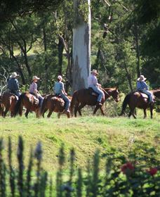 Springvale Horse Treks - Accommodation in Bendigo 1