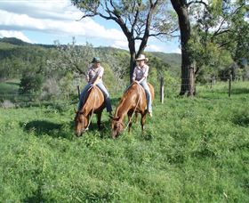 Springvale Horse Treks - Accommodation in Bendigo 3