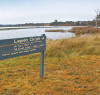 Lagoon Circuit walking track - Accommodation in Bendigo