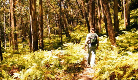 Federal Pass - Accommodation in Bendigo 0