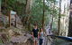 Federal Pass - thumb 3