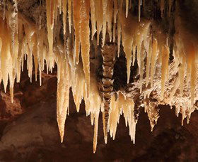 Wombeyan Caves - Accommodation in Bendigo 1