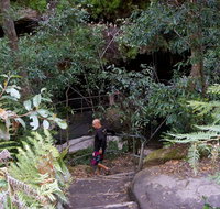 Leura Cascades Fern Bower - Accommodation in Bendigo