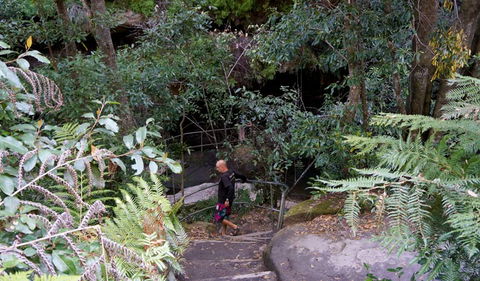 Leura Cascades Fern Bower - Accommodation in Bendigo 0
