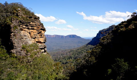 Leura Cascades Fern Bower - Accommodation in Bendigo 1