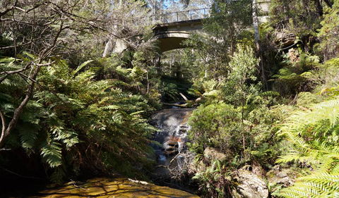 Leura Cascades Fern Bower - Accommodation in Bendigo 3
