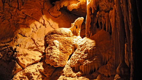 Wombeyan Karst Conservation Reserve - Accommodation in Bendigo 2