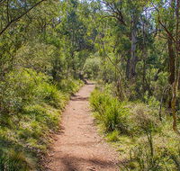 Mares Forest Creek walking track - Accommodation in Bendigo
