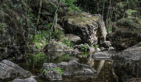 Mares Forest Creek Walking Track - Accommodation in Bendigo 1