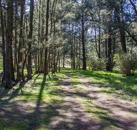 Wombeyan Waterfall walking track - Accommodation in Bendigo