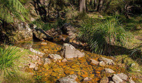 Wombeyan Waterfall Walking Track - Accommodation in Bendigo 1