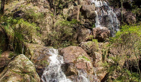 Wombeyan Waterfall Walking Track - Accommodation in Bendigo 3