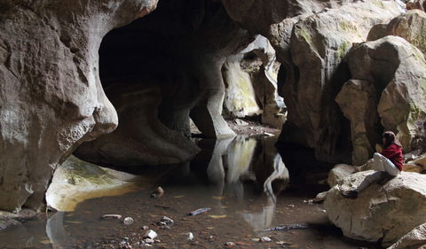 Fig Tree Cave - Accommodation in Bendigo 2