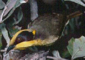 Tyers Park - Accommodation in Bendigo 0