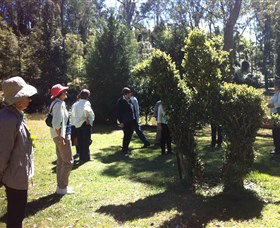 Wildwood Garden - Accommodation in Bendigo 3