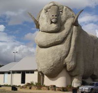 Big Merino - Accommodation in Bendigo