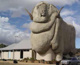 Big Merino - Accommodation in Bendigo 0