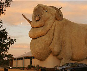 Big Merino - Accommodation in Bendigo 3