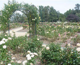 Victoria Park Rose Garden - Accommodation in Bendigo 0