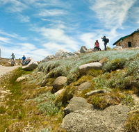 Mount Kosciuszko Summit walk - Accommodation in Bendigo