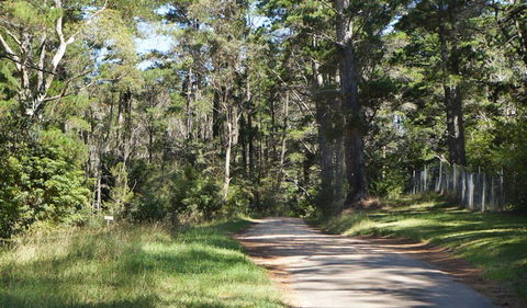 McMahon's Point Ride - Wentworth Falls - Accommodation in Bendigo 2