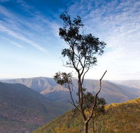 Salisbury Waters walking track - Accommodation in Bendigo