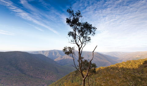 Salisbury Waters Walking Track - Accommodation in Bendigo 0