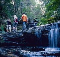 South Lawson Waterfall Circuit - Accommodation in Bendigo