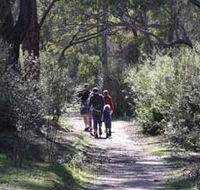 Syd's Rapids and Aboriginal Heritage Trail Avon Valley - Accommodation in Bendigo