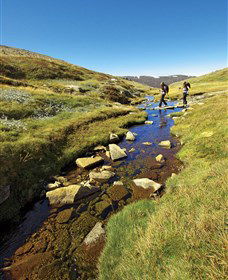 Sawpit Creek NSW Accommodation in Bendigo