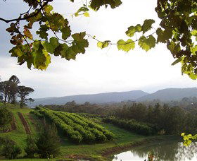 Enniskillen Orchard - Accommodation in Bendigo 1