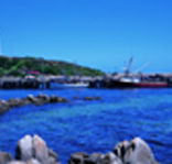 King Island Dairies - Accommodation in Bendigo